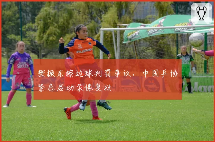 樊振东擦边球判罚争议,中国乒协紧急启动录像复核