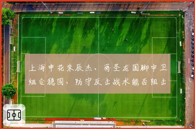 上海申花朱辰杰、蒋圣龙国脚中卫组合稳固,防守反击战术能否阻击海港?