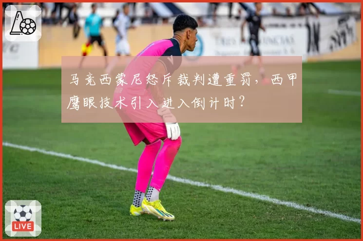 马竞西蒙尼怒斥裁判遭重罚,西甲鹰眼技术引入进入倒计时?