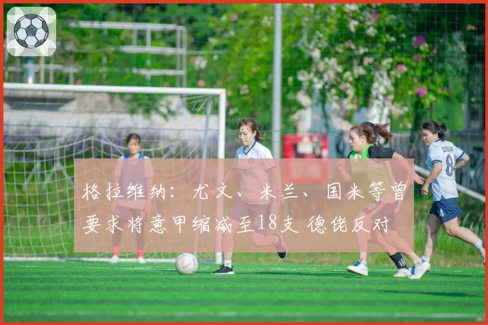 格拉维纳：尤文、米兰、国米等曾要求将意甲缩减至18支 德佬反对