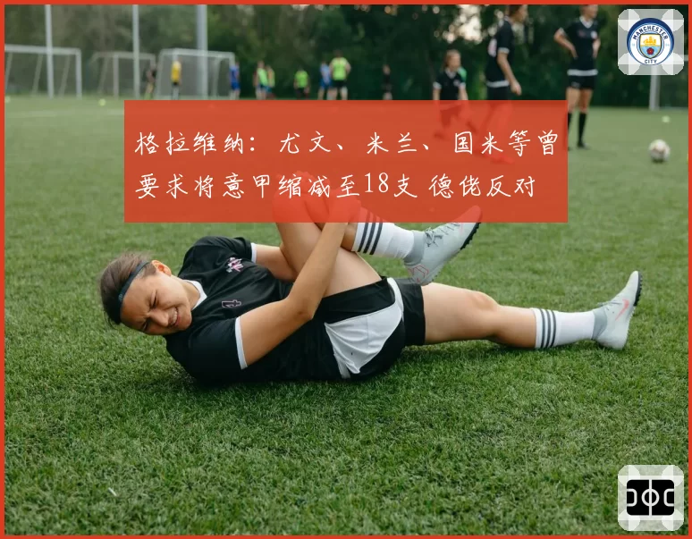 格拉维纳：尤文、米兰、国米等曾要求将意甲缩减至18支 德佬反对